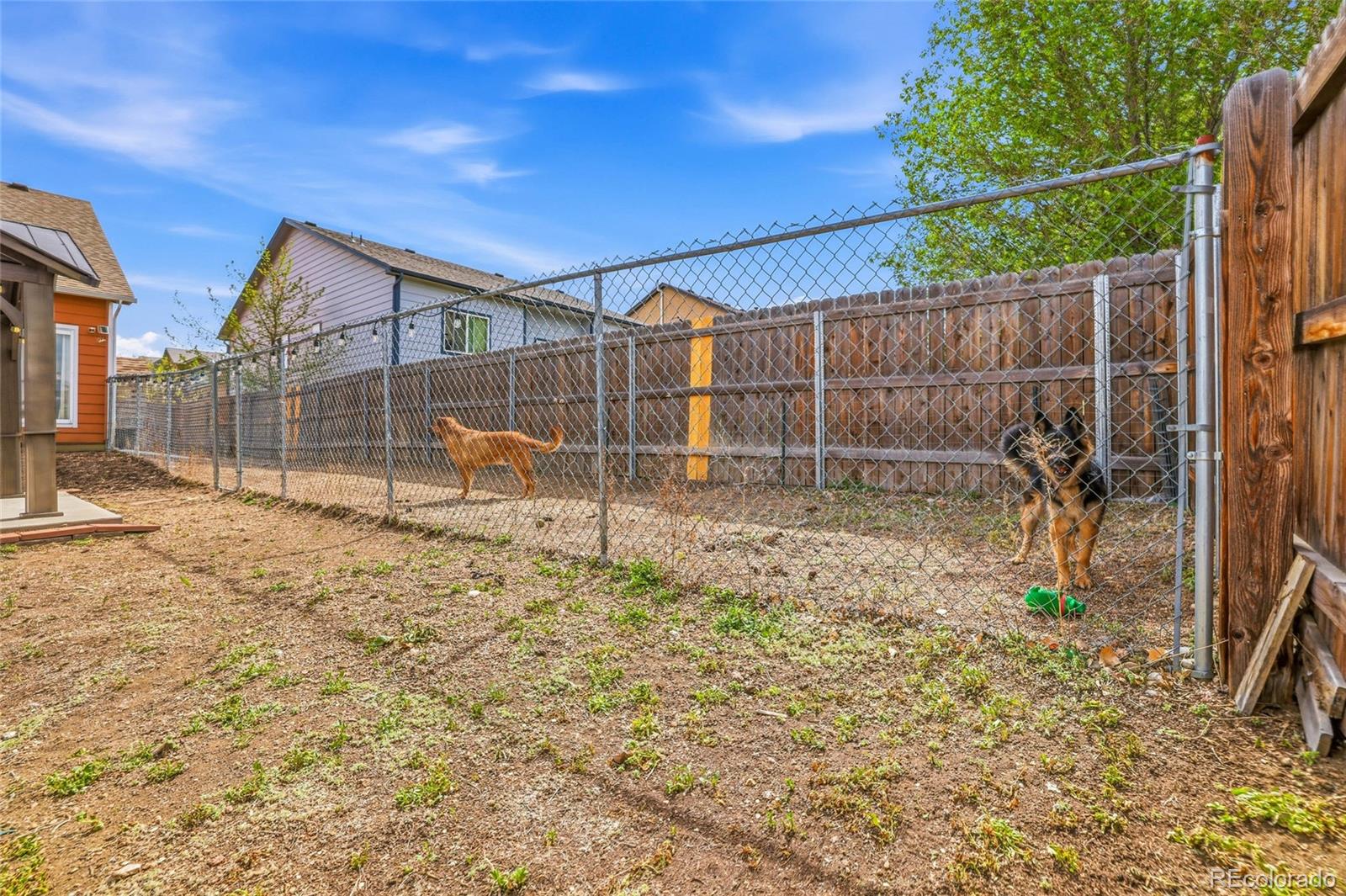 2796 Brookline Court Colorado Springs CO 80906
