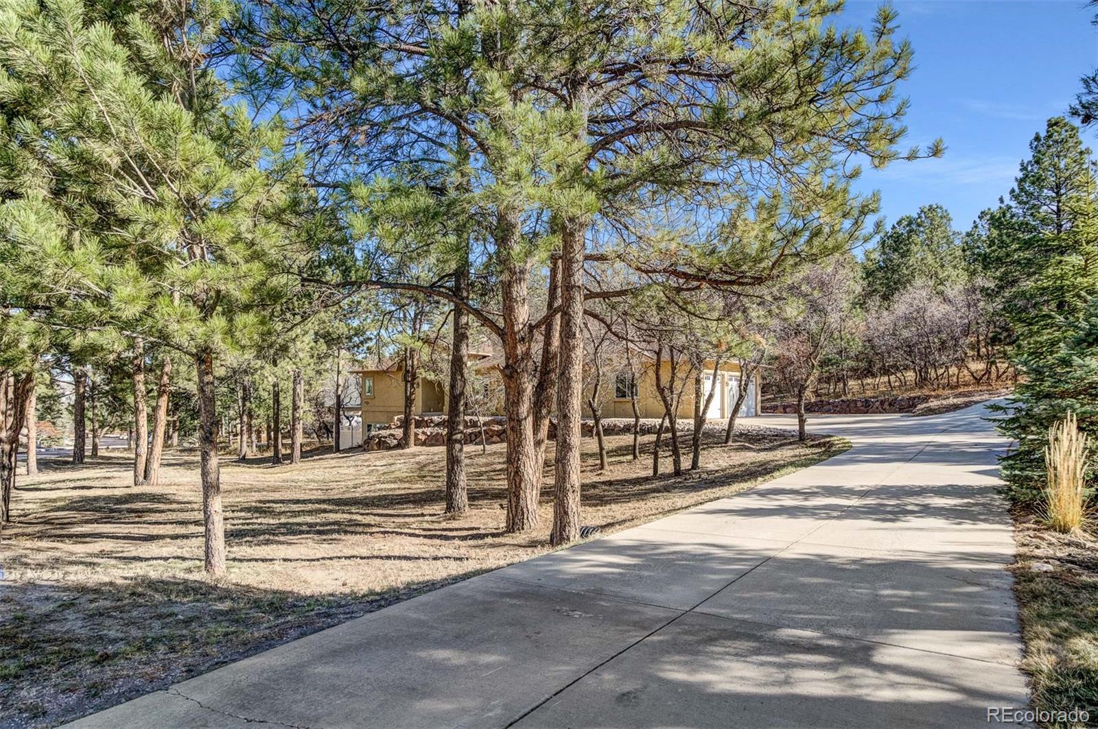 7405 Winding Oaks Drive Colorado Springs CO 80919