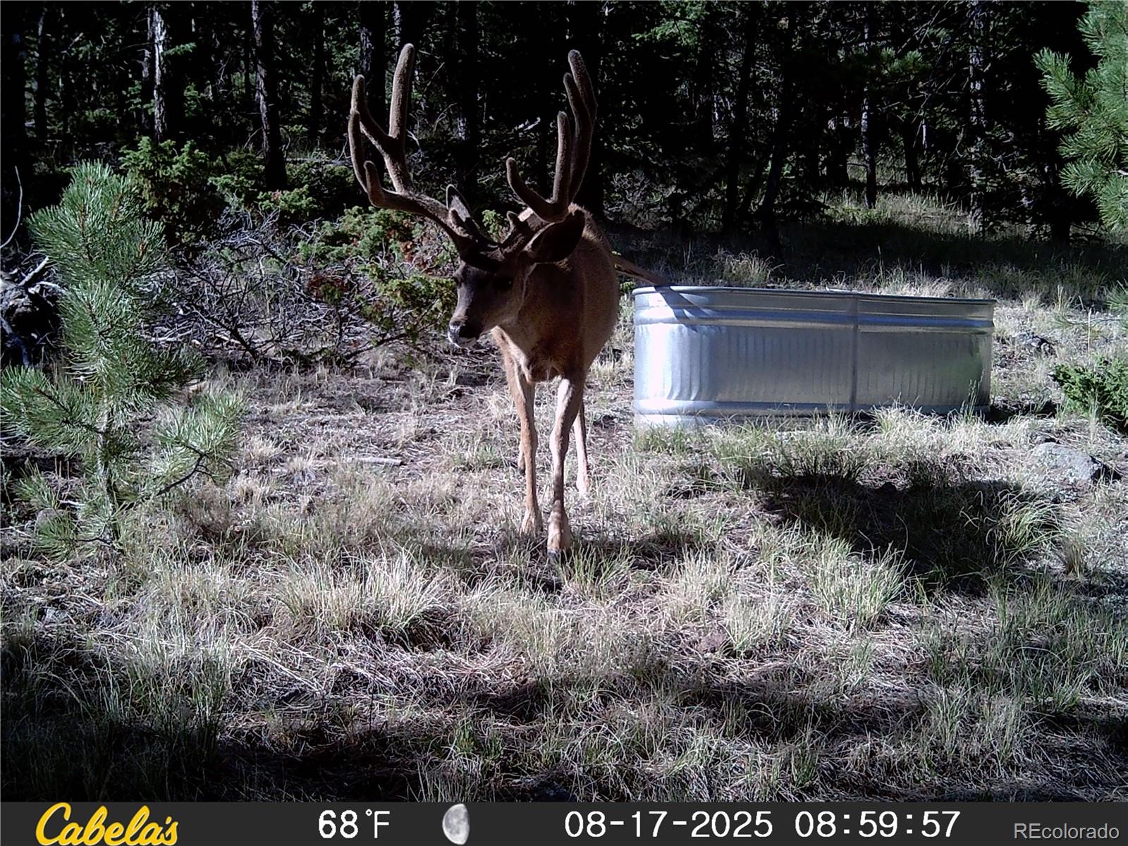 9100 County Road 102 Guffey CO 80820