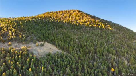 9100 County Road 102 Guffey CO 80820