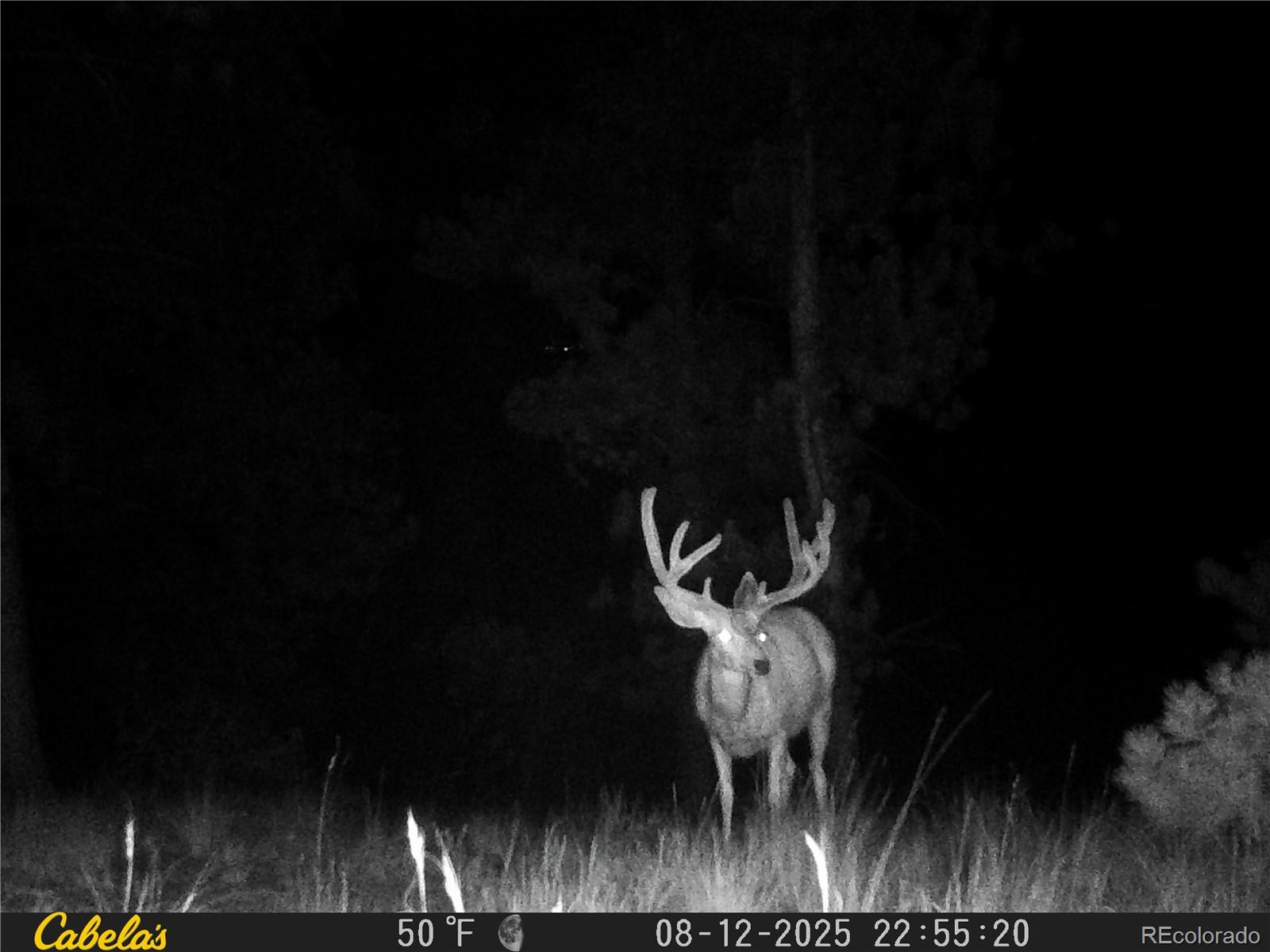 9100 County Road 102 Guffey CO 80820