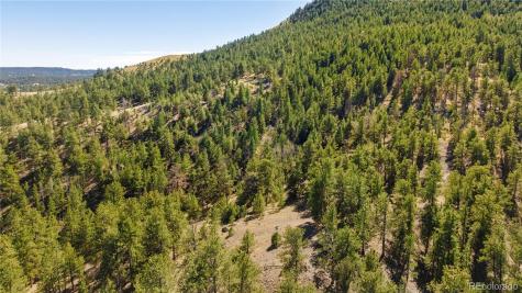 9100 County Road 102 Guffey CO 80820