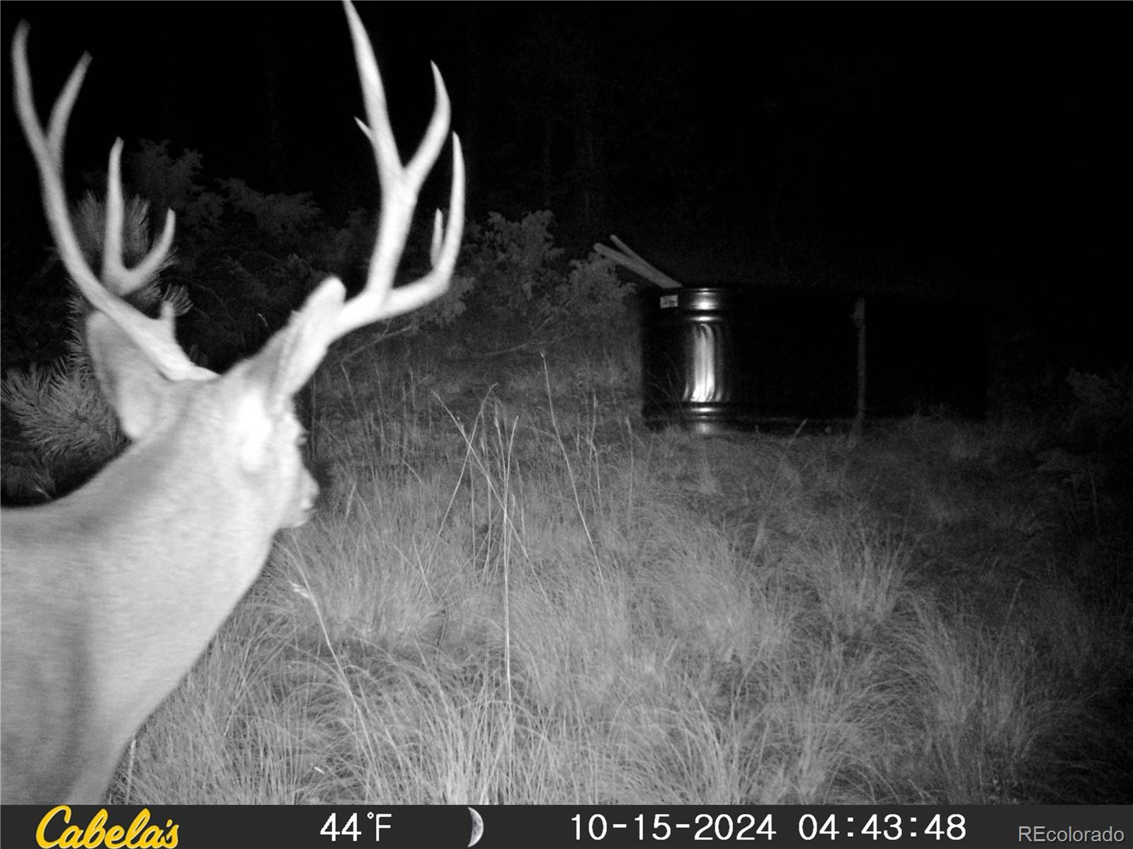 9100 County Road 102 Guffey CO 80820