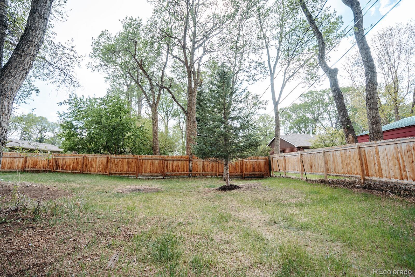 440 Mill Street Buena Vista CO 81211