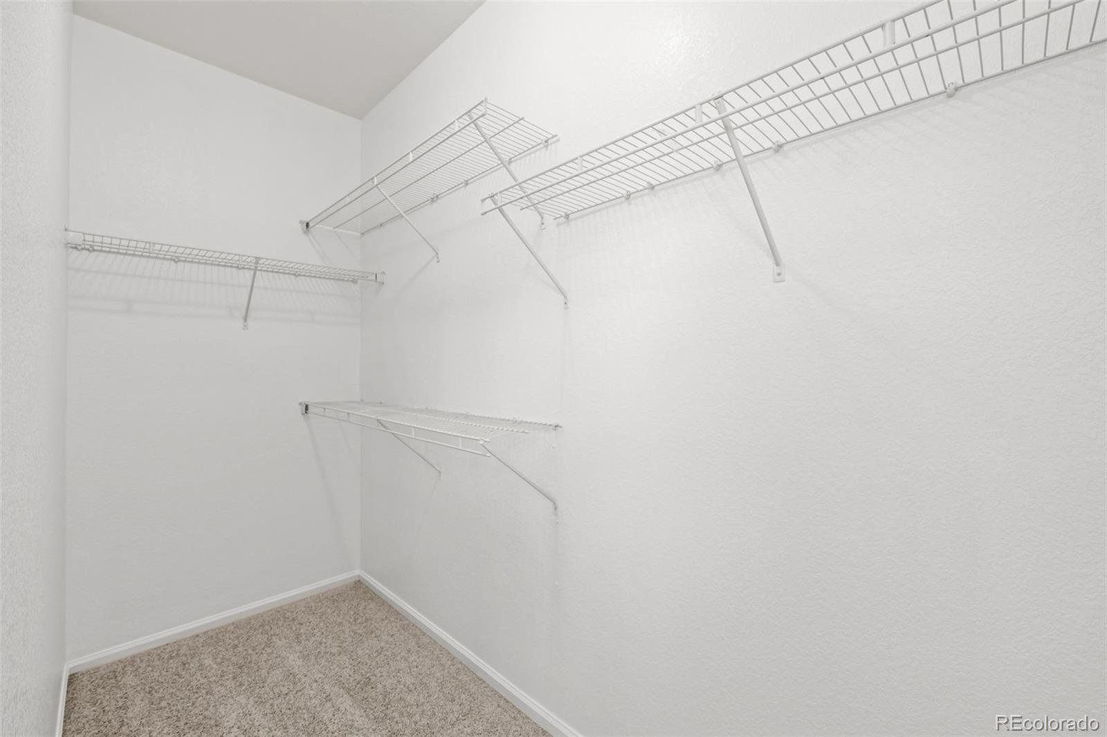 4679 Argonne Street Denver CO 80249