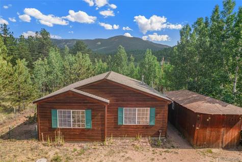 247 Anderson Road Bailey CO 80421