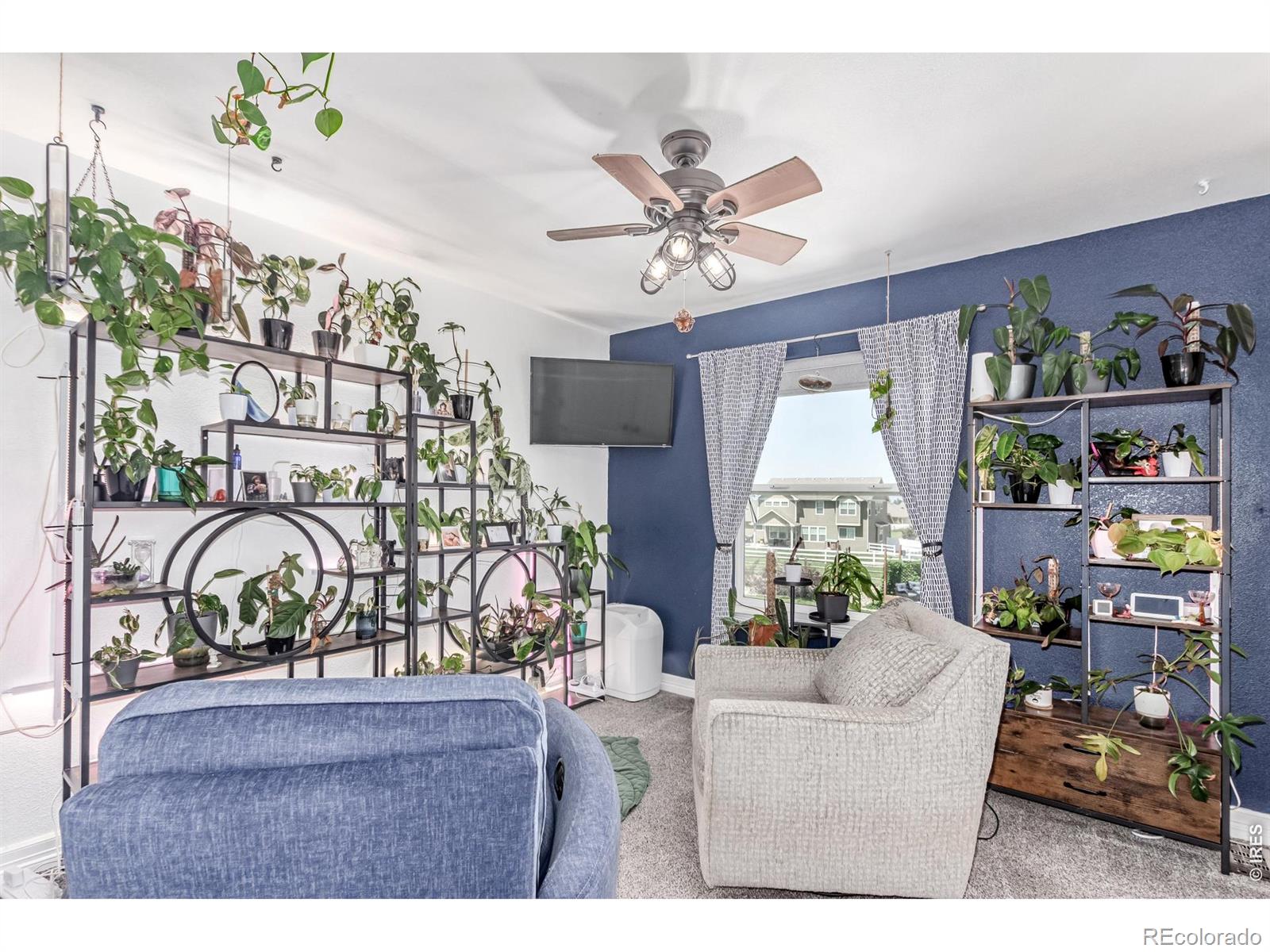 1451 Red Fox Circle Severance CO 80550