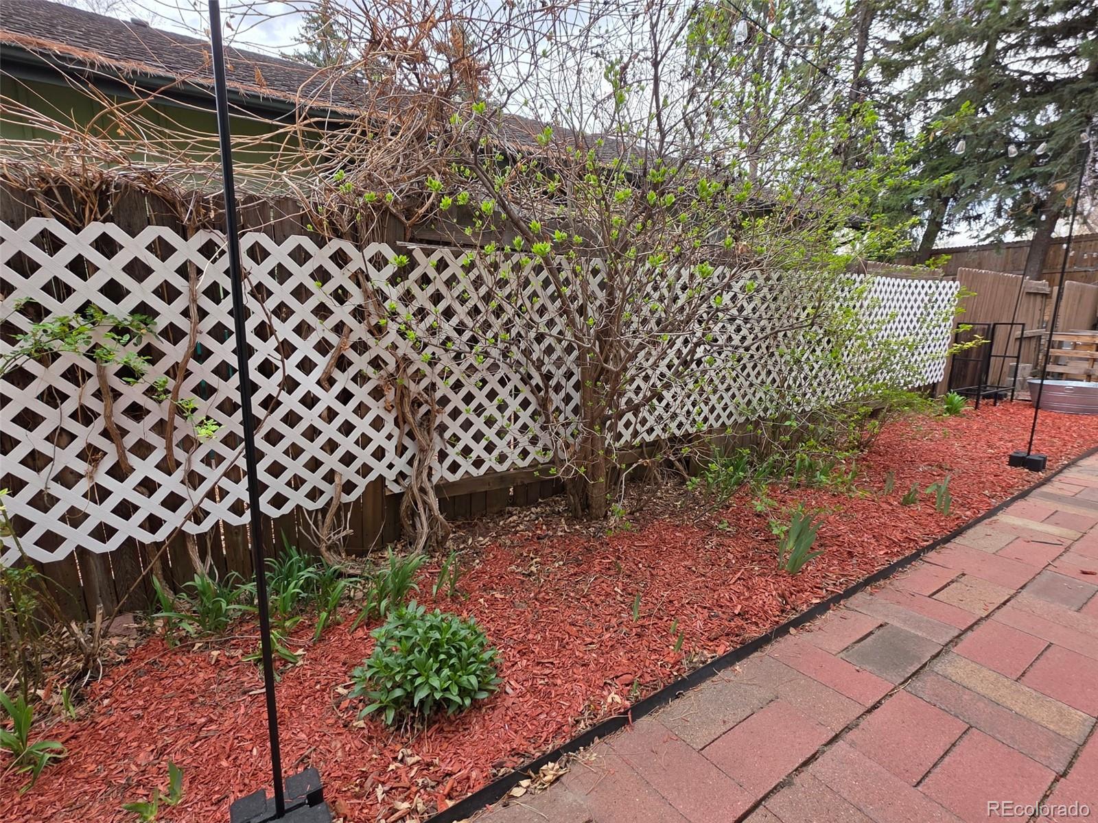 8830 W 80th Drive Arvada CO 80005