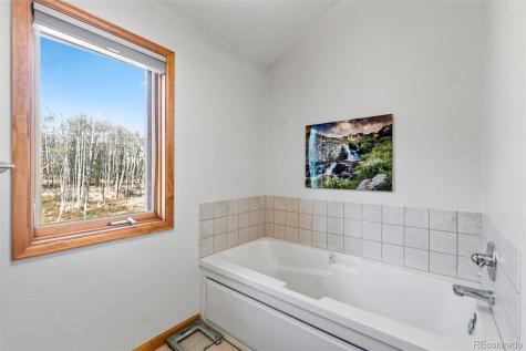 174 Skid Court Fairplay CO 80440