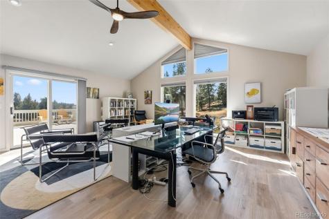 174 Skid Court Fairplay CO 80440