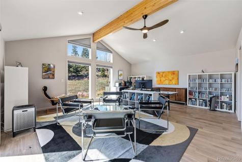 174 Skid Court Fairplay CO 80440