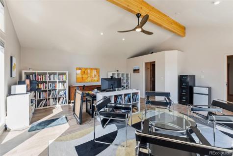 174 Skid Court Fairplay CO 80440