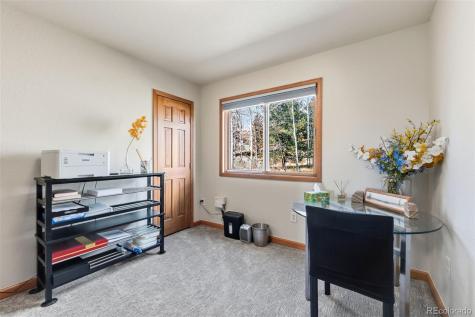 174 Skid Court Fairplay CO 80440