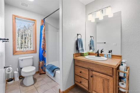 174 Skid Court Fairplay CO 80440