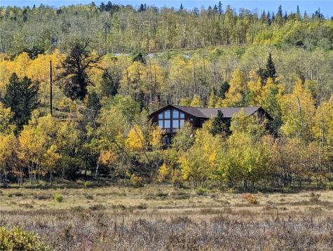 174 Skid Court Fairplay CO 80440