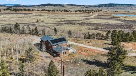 174 Skid Court Fairplay CO 80440