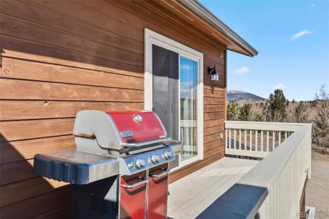 174 Skid Court Fairplay CO 80440