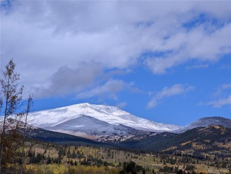 174 Skid Court Fairplay CO 80440