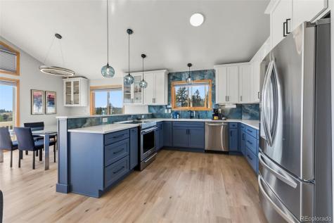 174 Skid Court Fairplay CO 80440