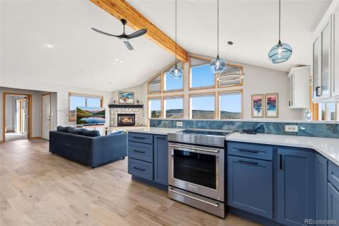 174 Skid Court Fairplay CO 80440