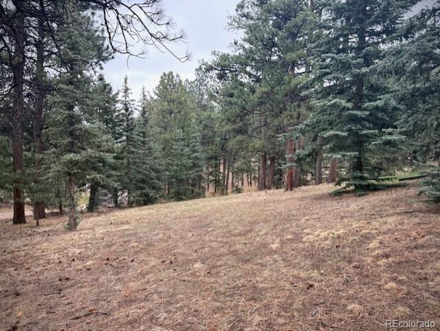 3518 S Saddle Road Evergreen CO 80439