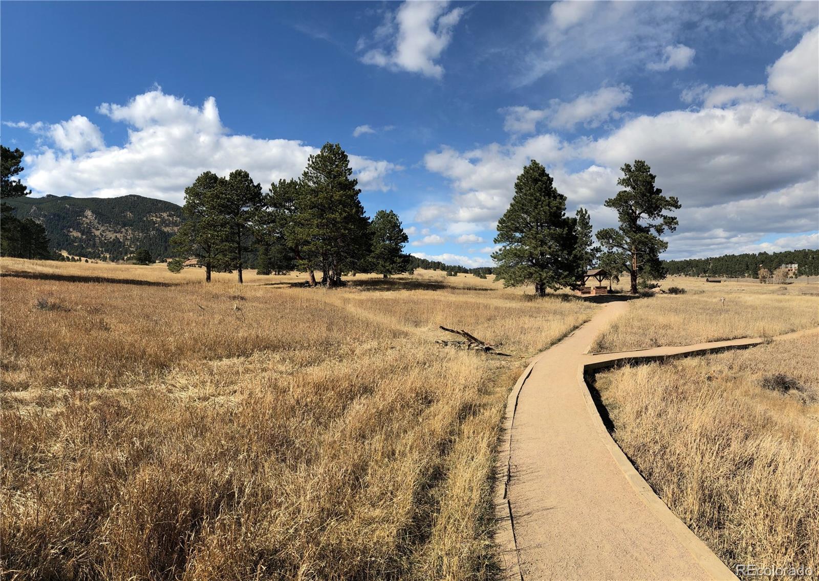 3518 S Saddle Road Evergreen CO 80439