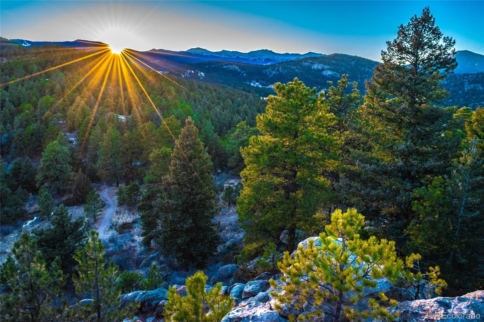 3518 S Saddle Road Evergreen CO 80439