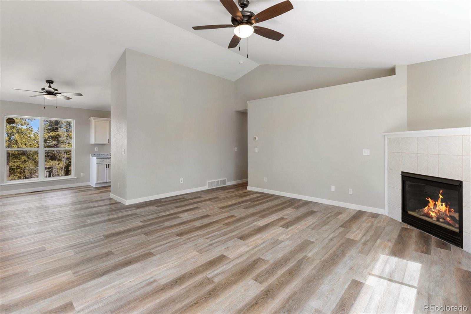 18 Mount Powderhorn Florissant CO 80816