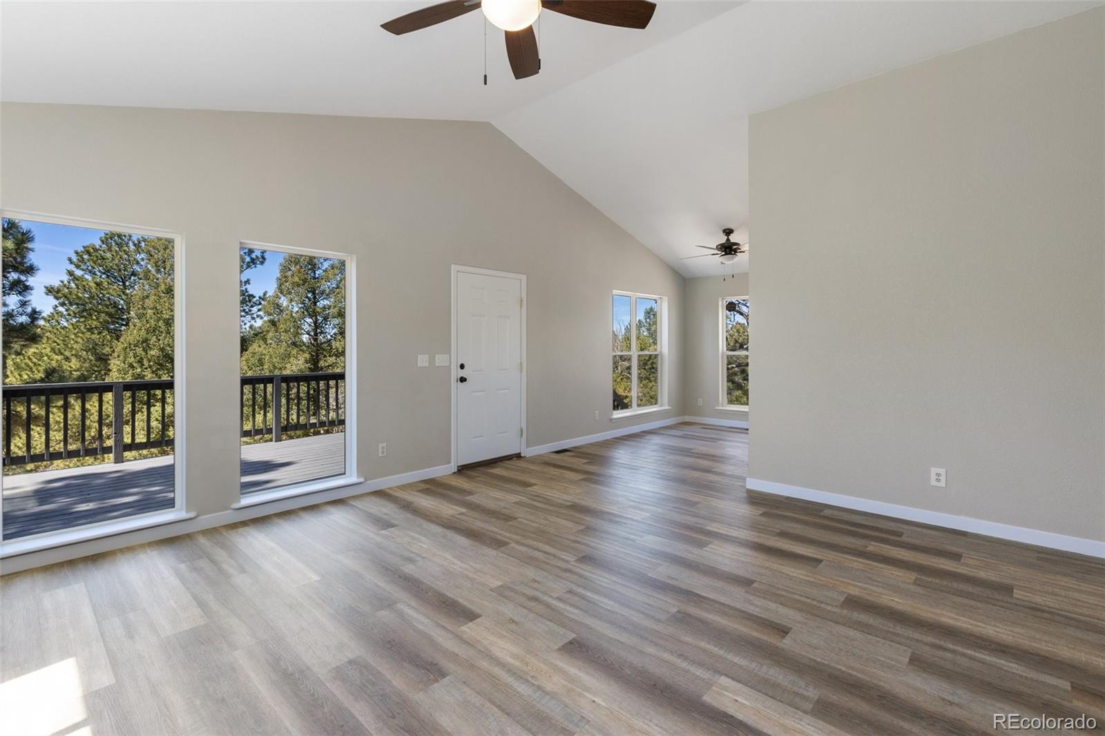 18 Mount Powderhorn Florissant CO 80816