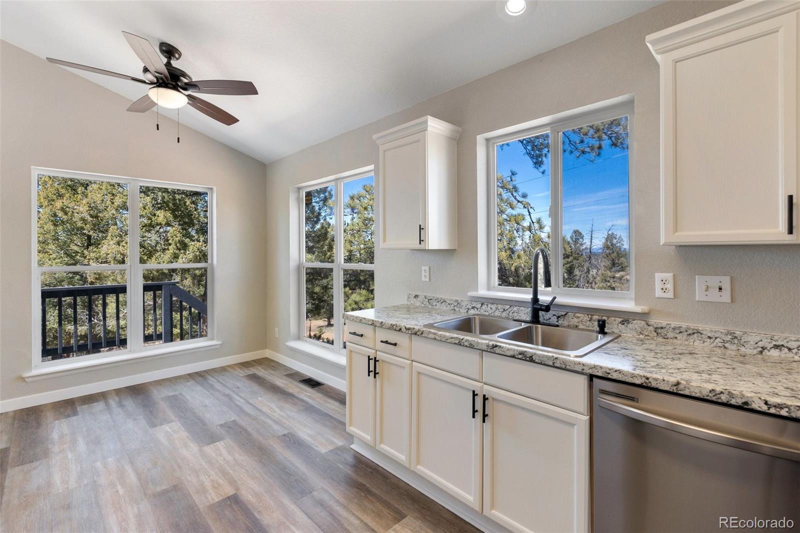 18 Mount Powderhorn Florissant CO 80816