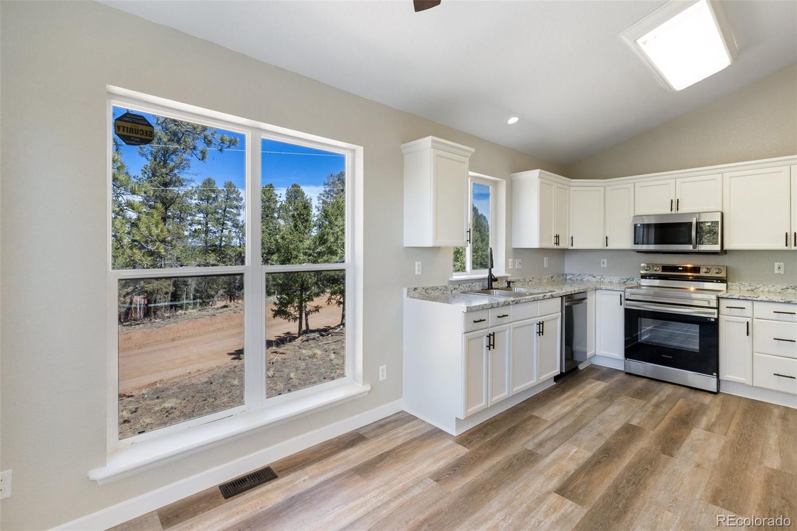 18 Mount Powderhorn Florissant CO 80816