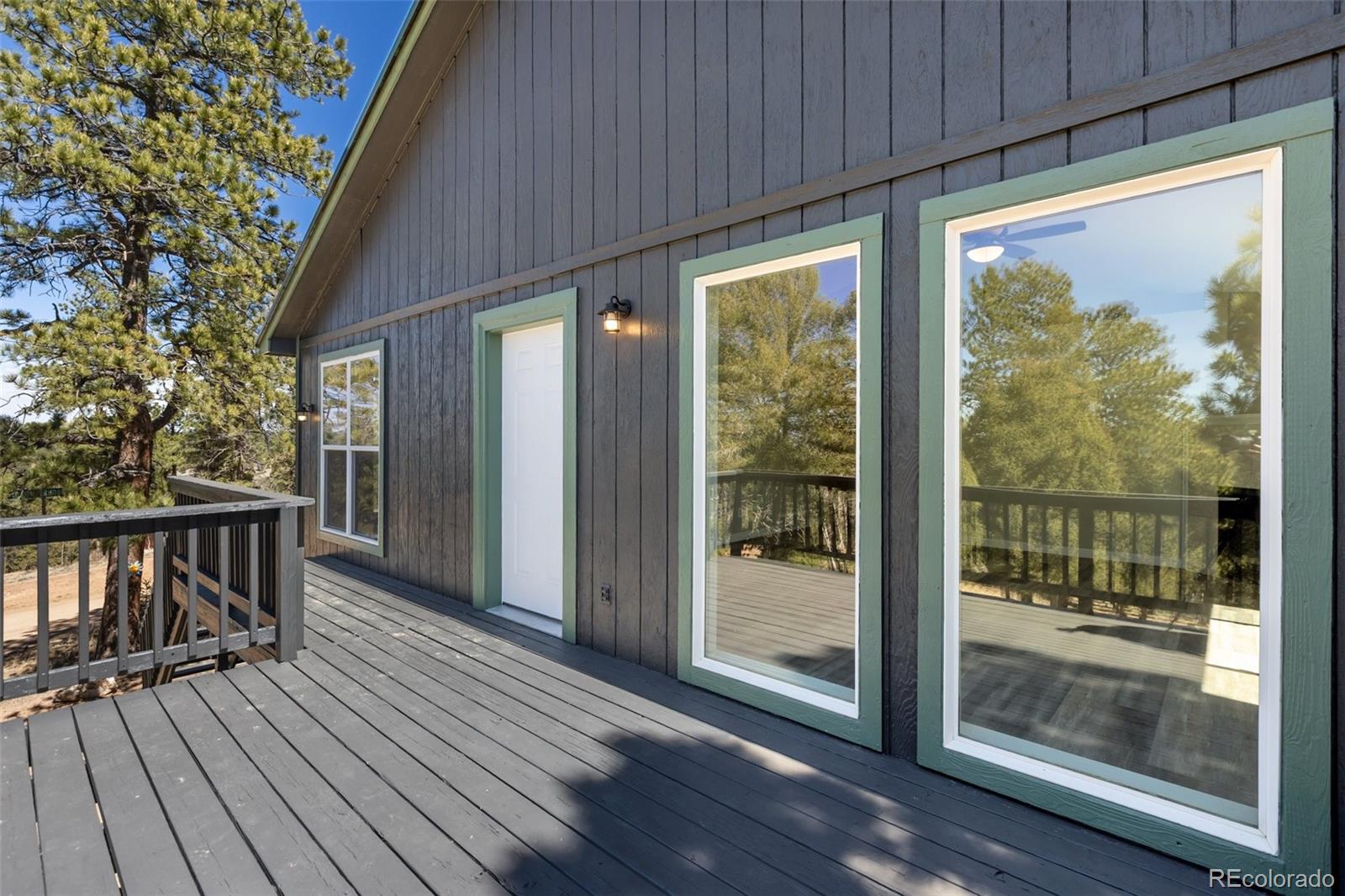 18 Mount Powderhorn Florissant CO 80816