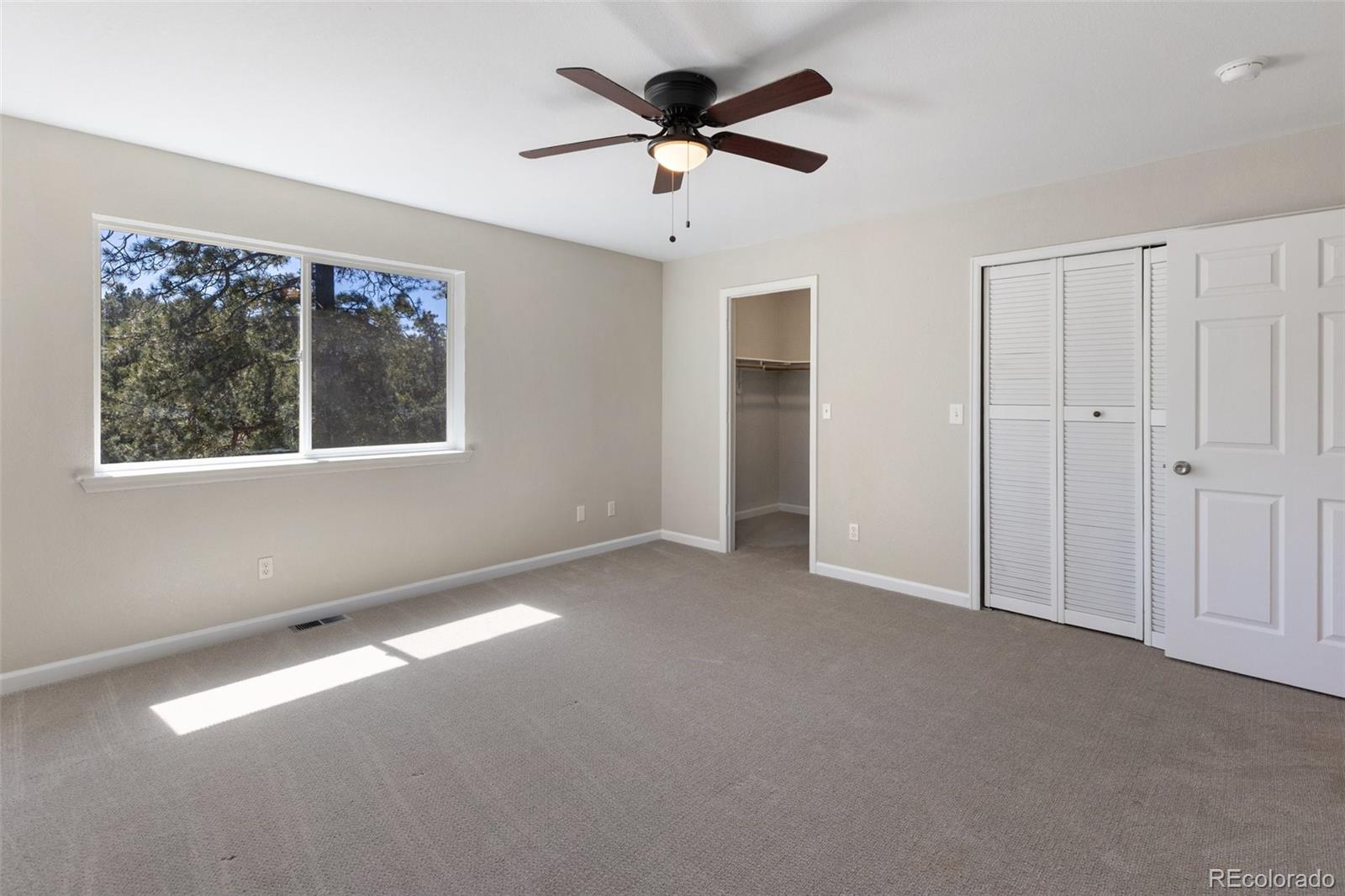 18 Mount Powderhorn Florissant CO 80816