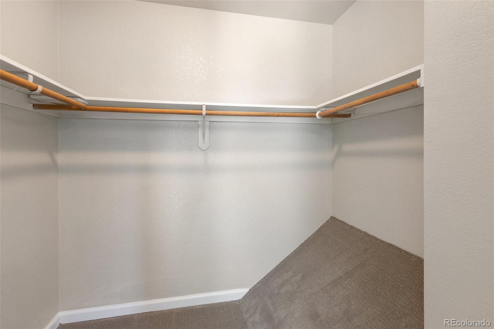18 Mount Powderhorn Florissant CO 80816