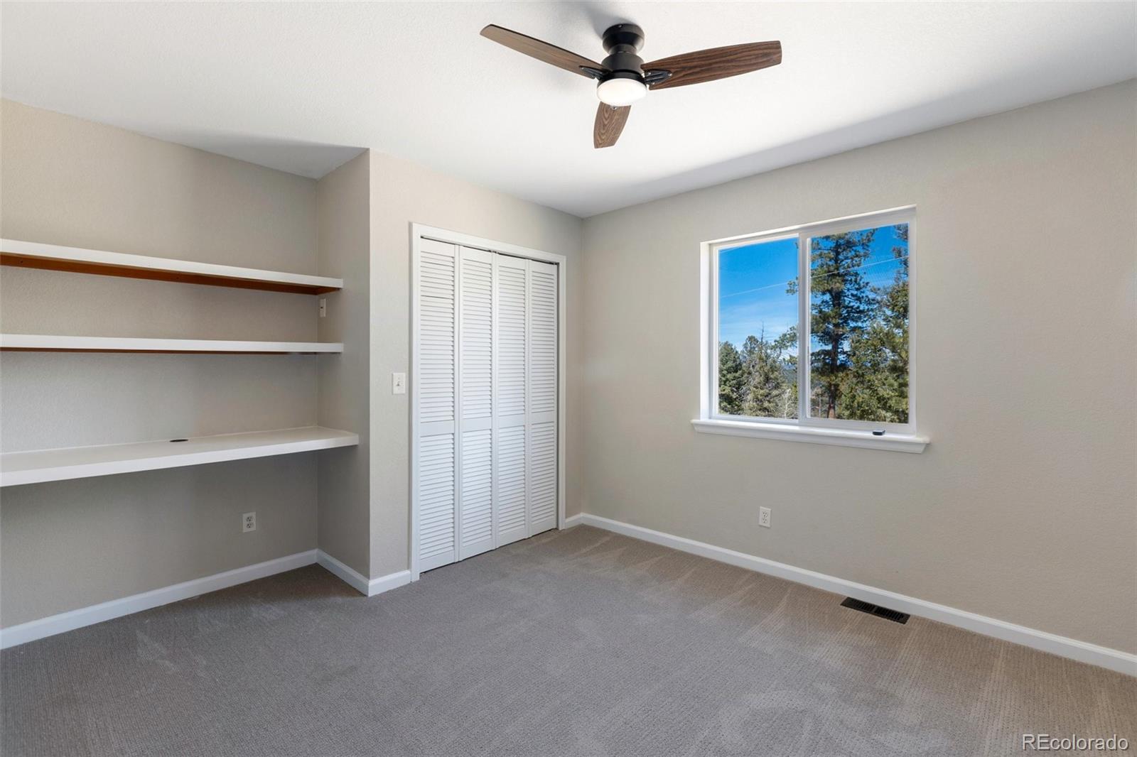 18 Mount Powderhorn Florissant CO 80816