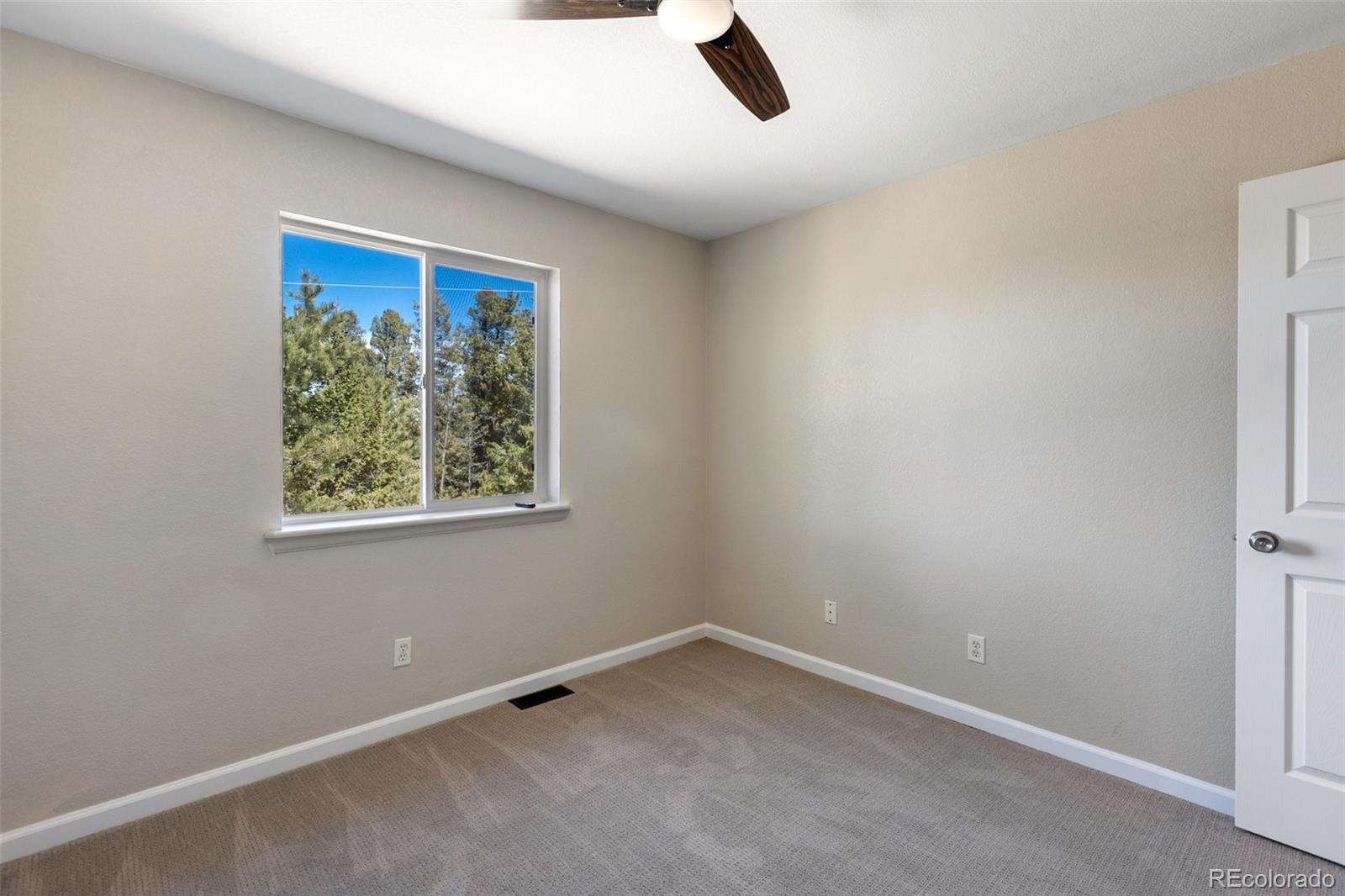 18 Mount Powderhorn Florissant CO 80816