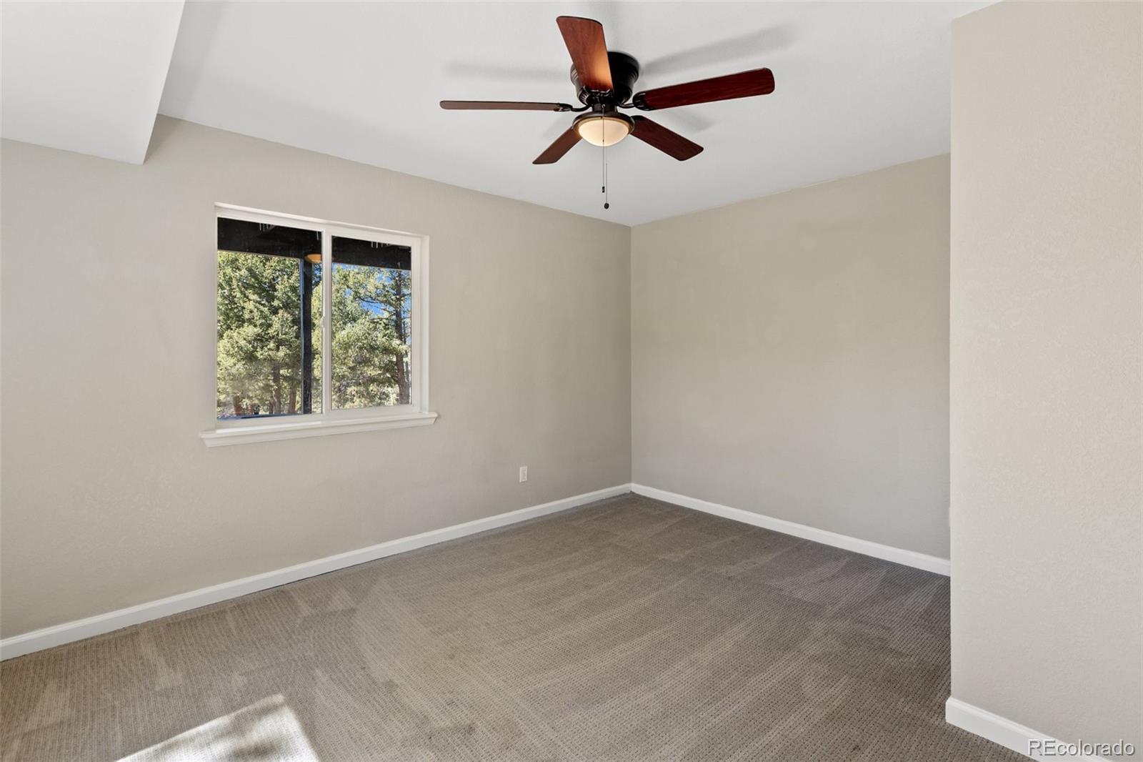 18 Mount Powderhorn Florissant CO 80816