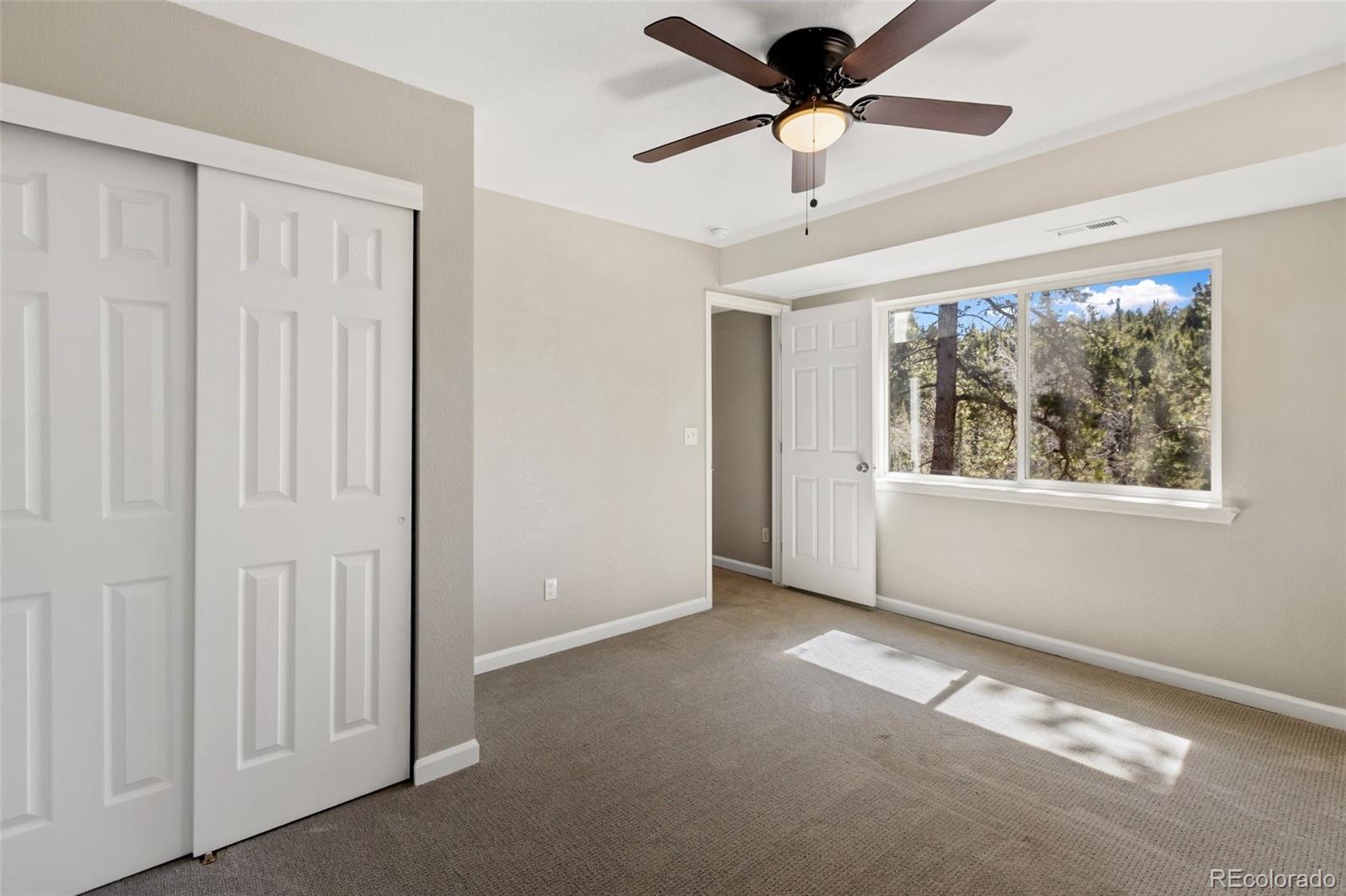 18 Mount Powderhorn Florissant CO 80816