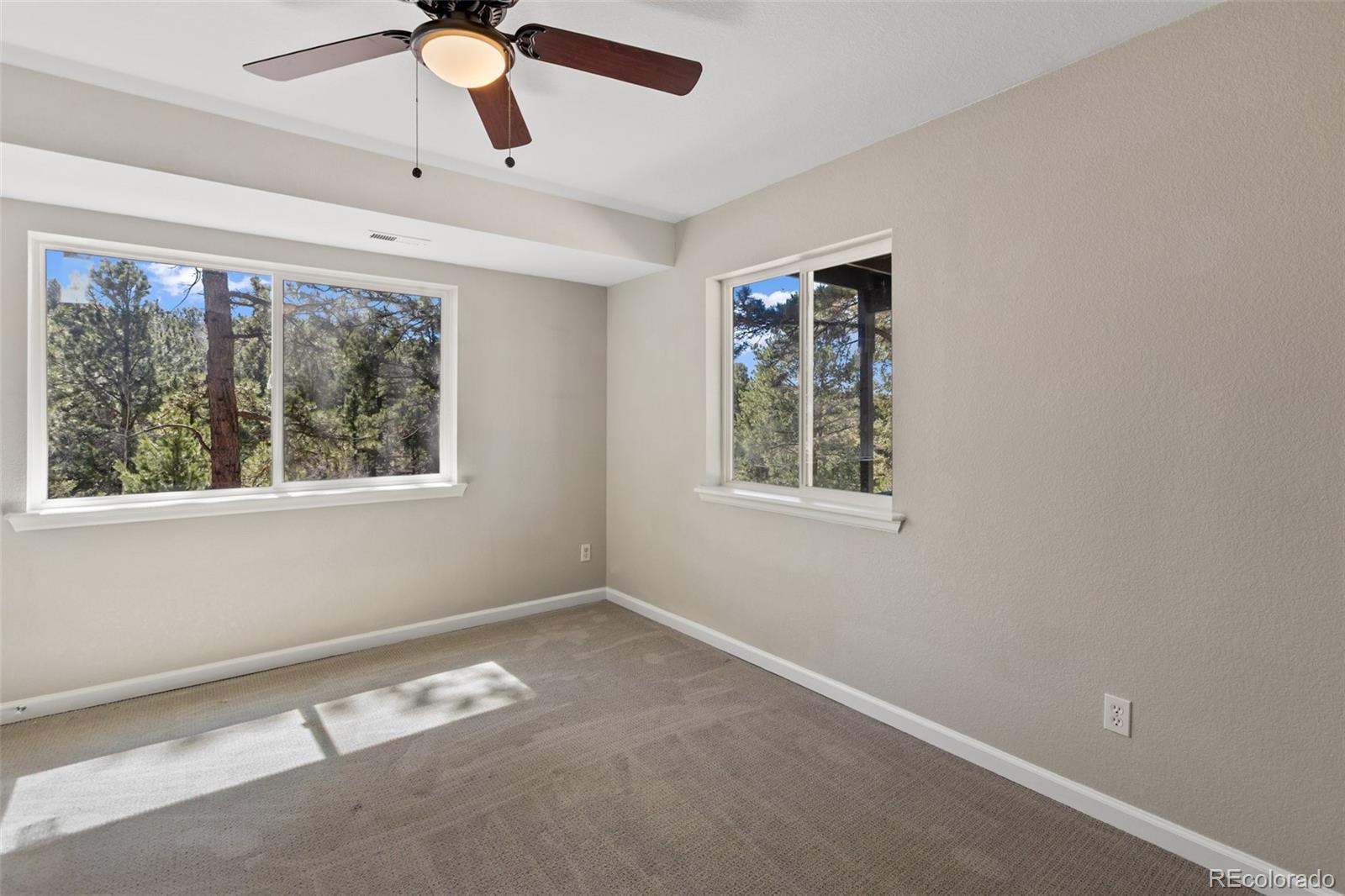18 Mount Powderhorn Florissant CO 80816