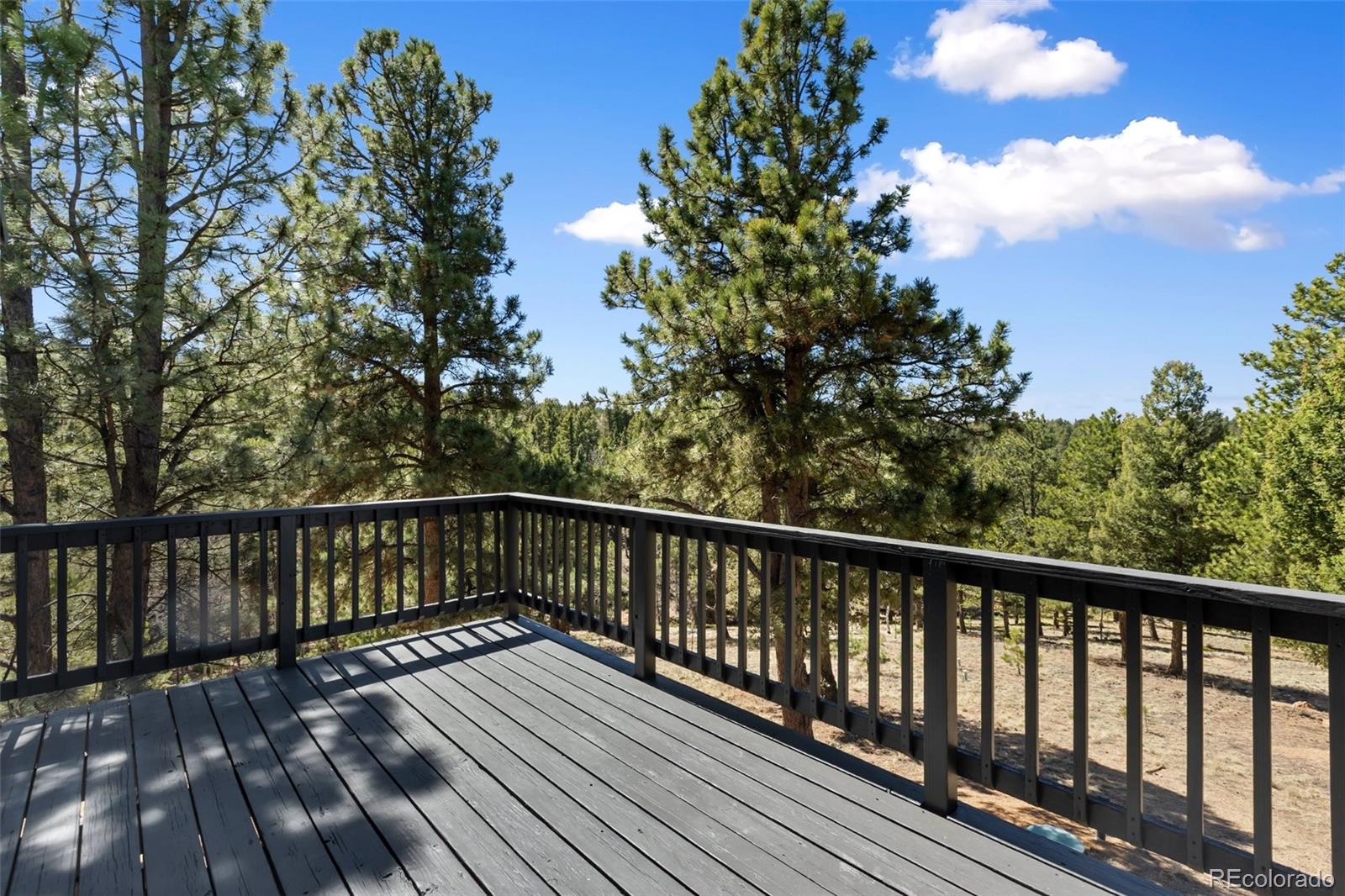 18 Mount Powderhorn Florissant CO 80816