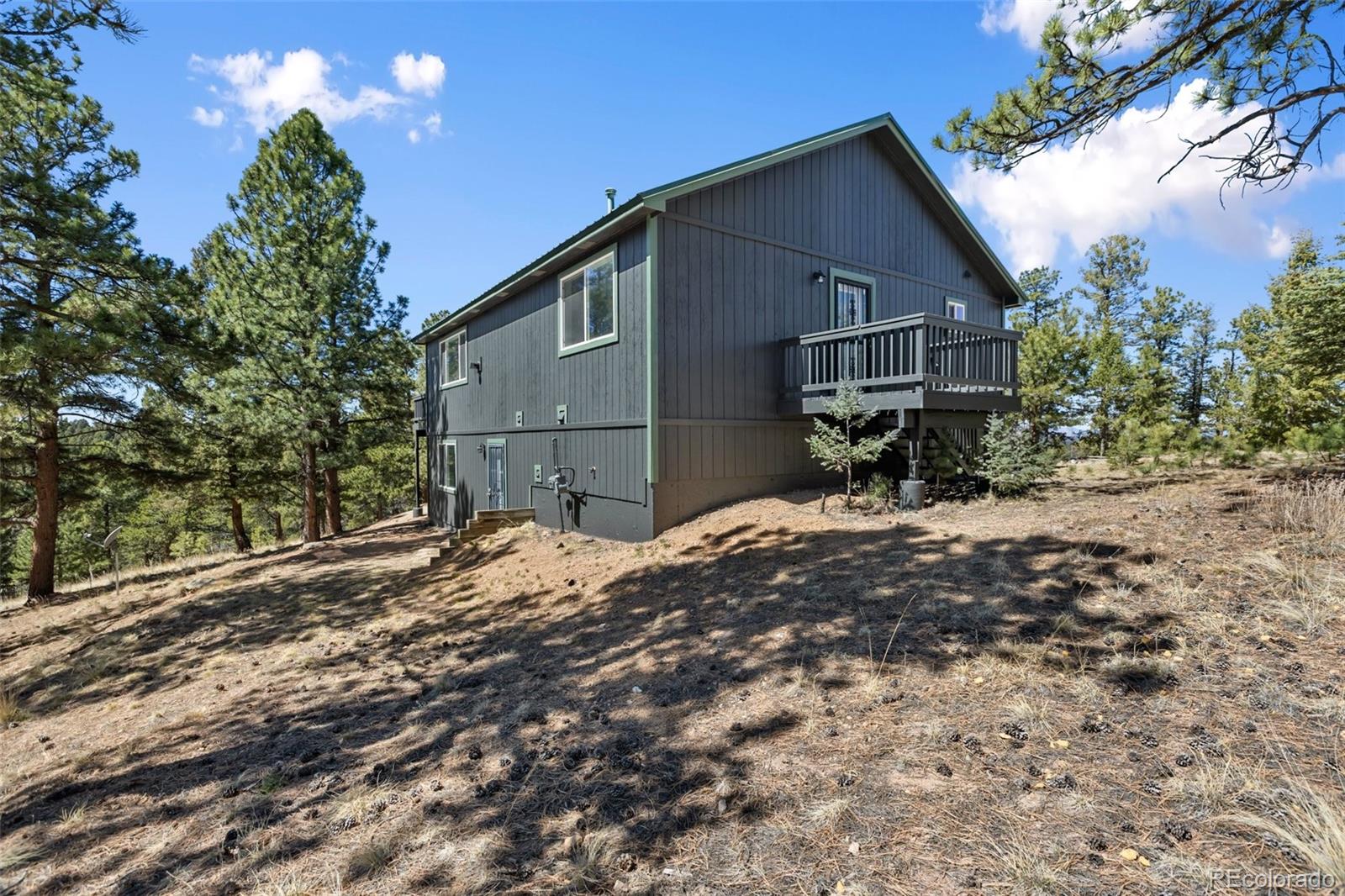 18 Mount Powderhorn Florissant CO 80816