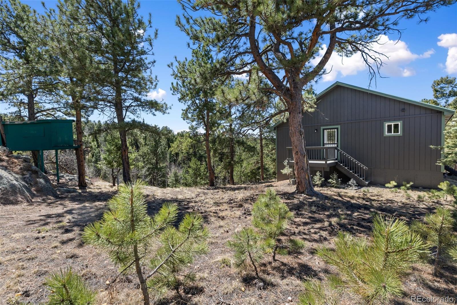 18 Mount Powderhorn Florissant CO 80816