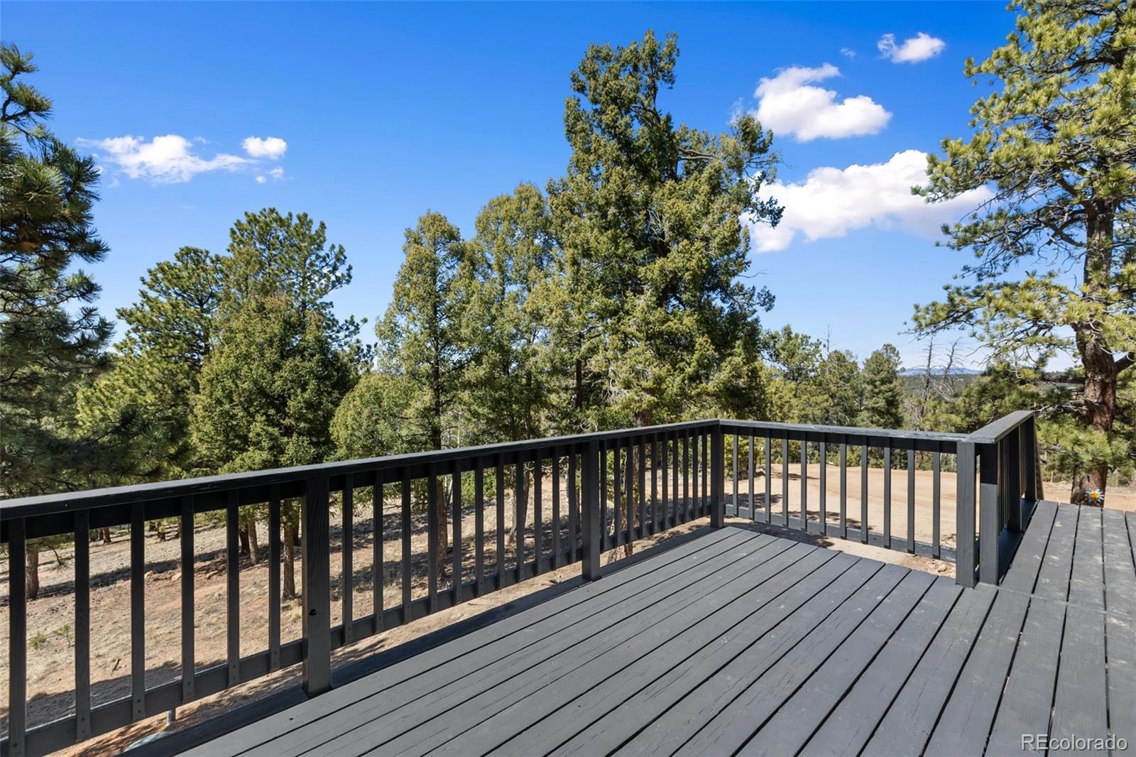 18 Mount Powderhorn Florissant CO 80816
