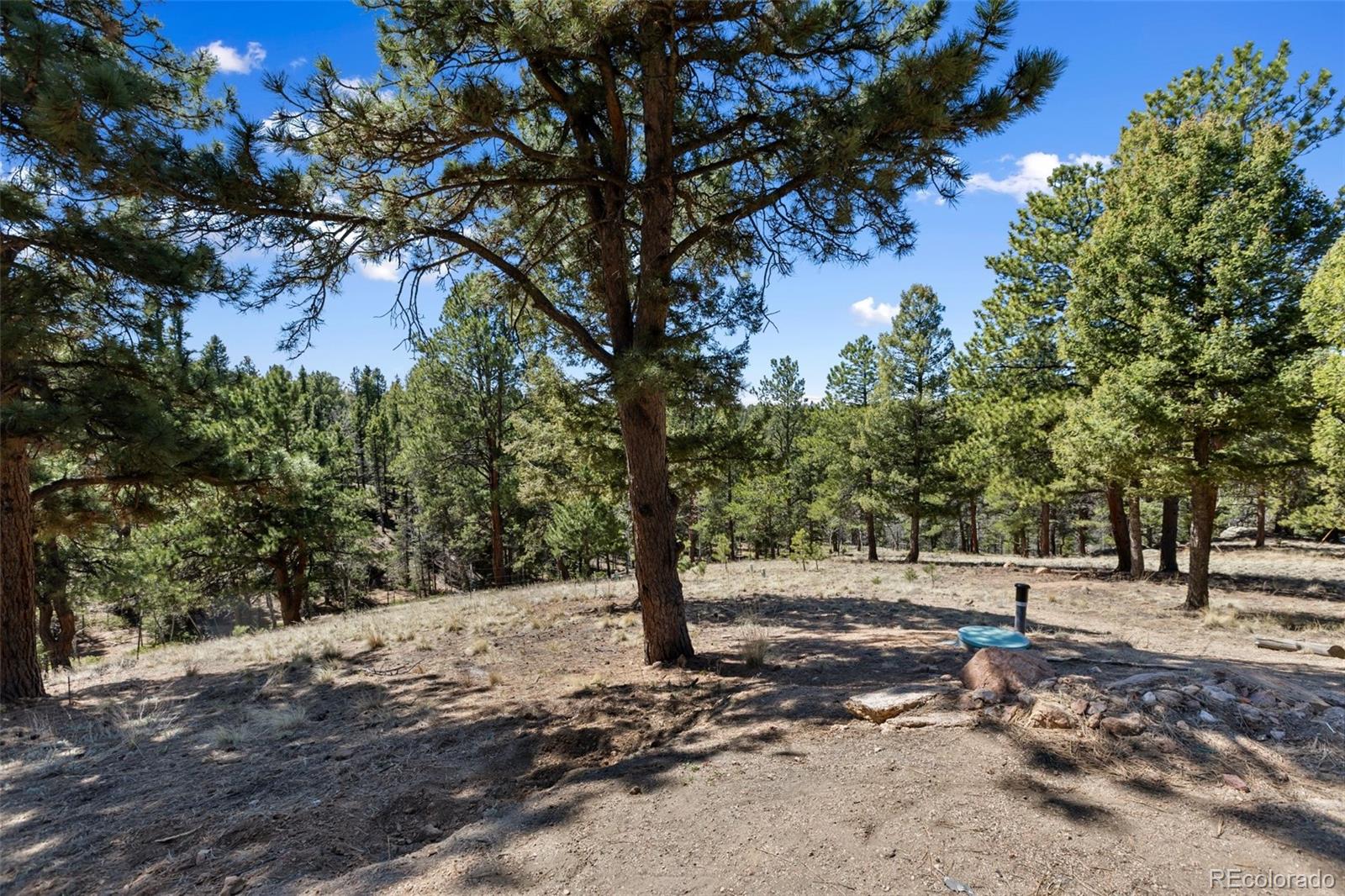 18 Mount Powderhorn Florissant CO 80816