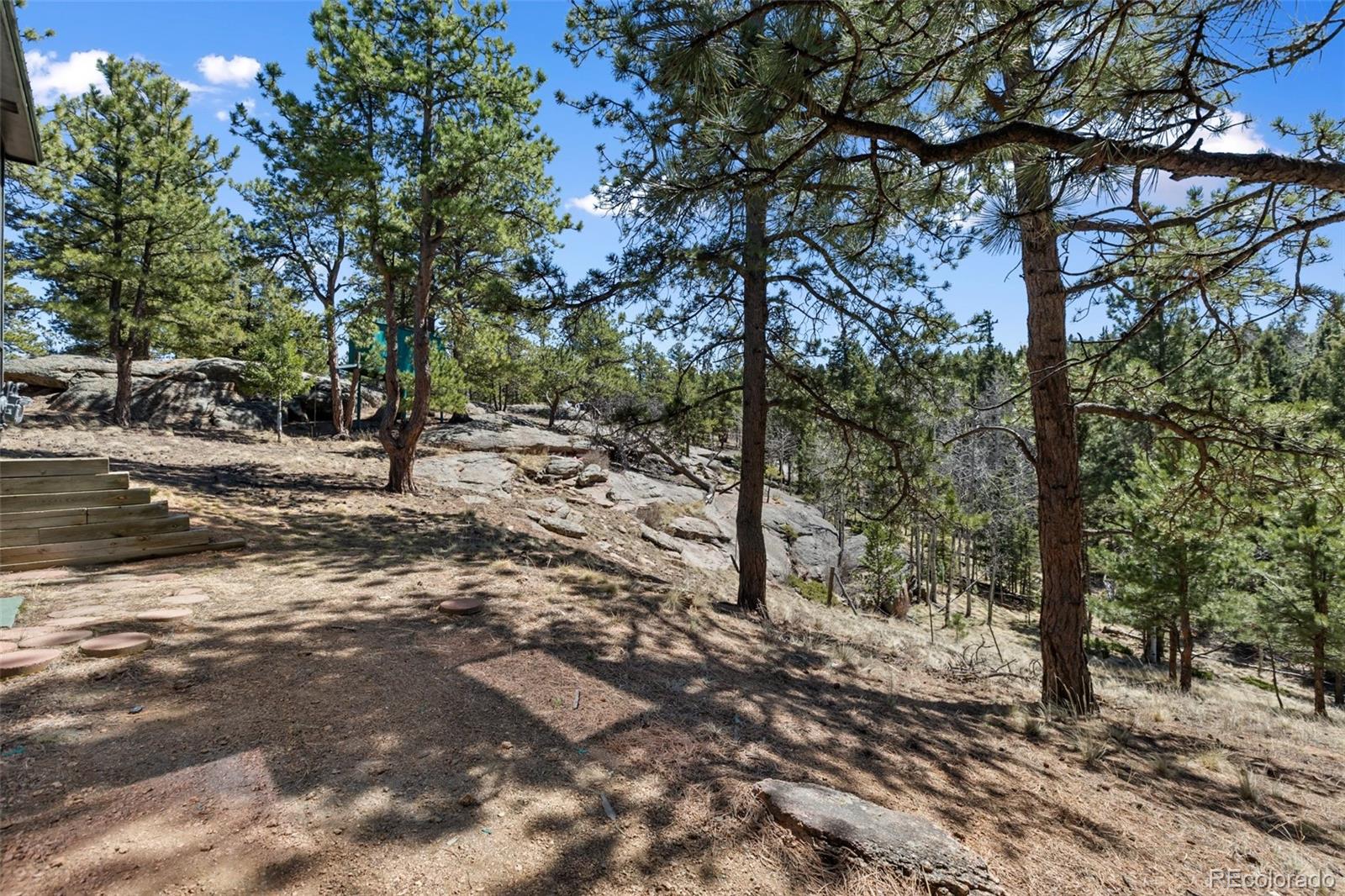 18 Mount Powderhorn Florissant CO 80816