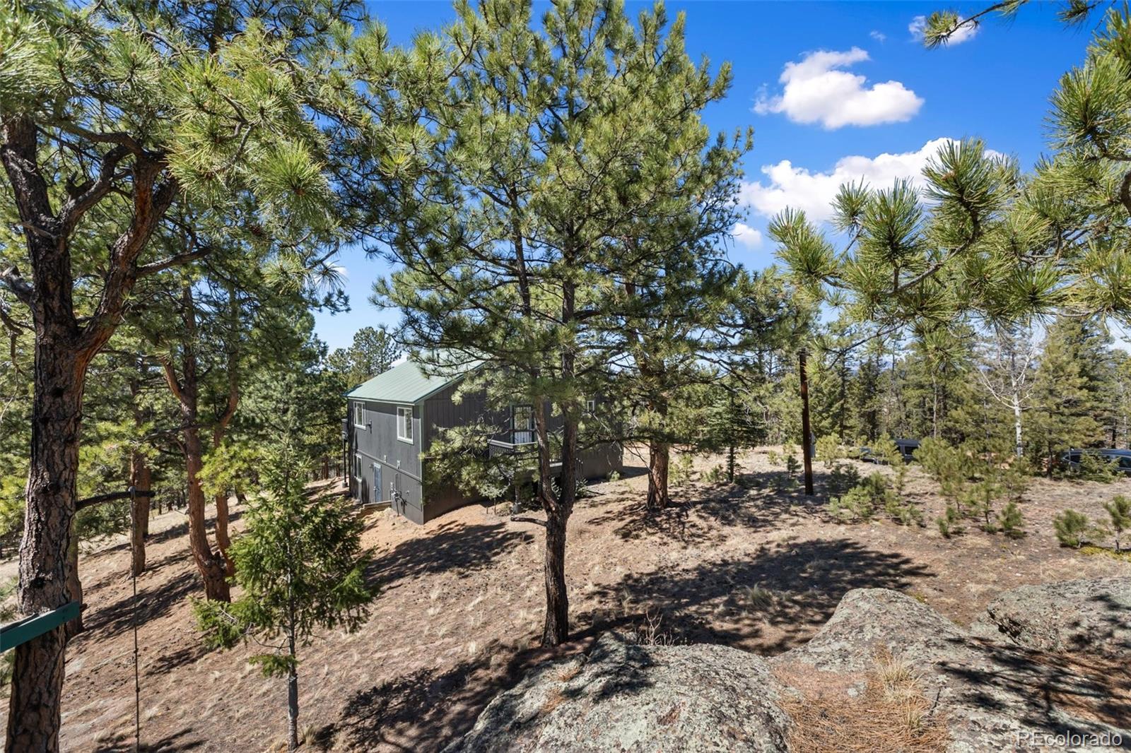 18 Mount Powderhorn Florissant CO 80816