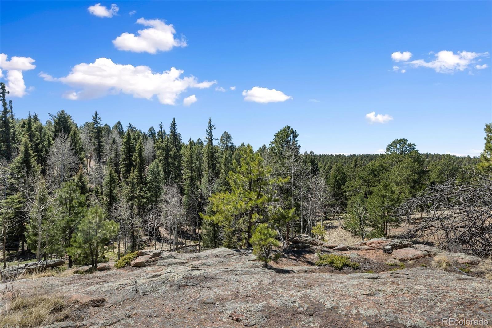 18 Mount Powderhorn Florissant CO 80816