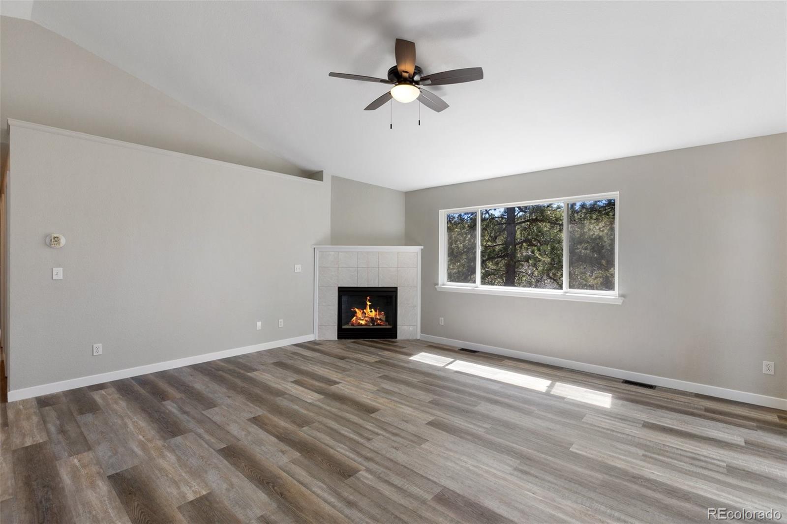 18 Mount Powderhorn Florissant CO 80816