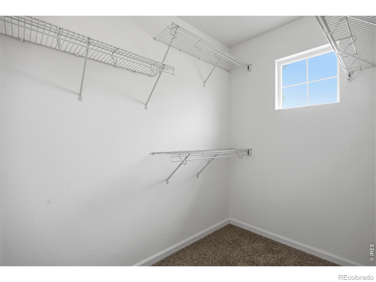 153 Brass Court Loveland CO 80537