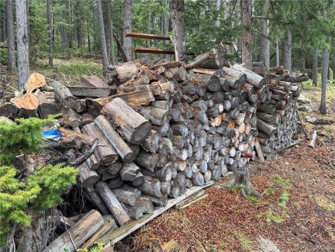 6842 Snowshoe Trail Evergreen CO 80439